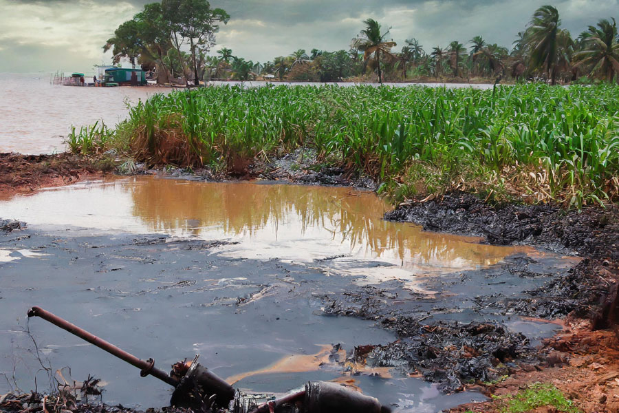 Environmental Devastation